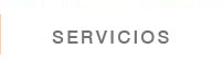 SERVICIOS