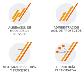 SERVICIOS NAXIT